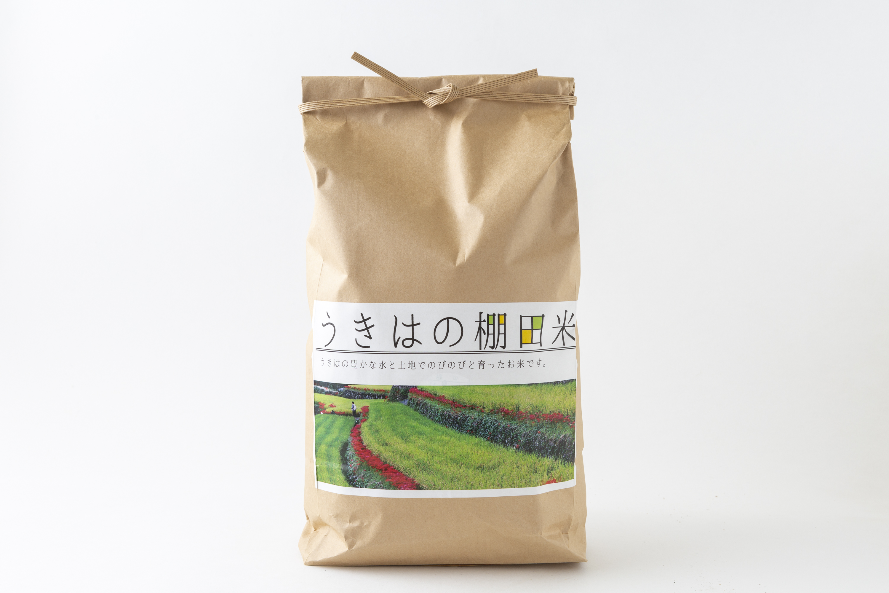 うきは市特産物セット
